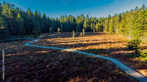 Herbstspaziergang auf den Höhen des Thüringer Waldes am Schützenbergmoor bei Oberhof - Thüringen photo