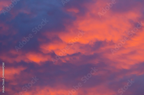 Fototapeta Naklejka Na Ścianę i Meble -  red sky background