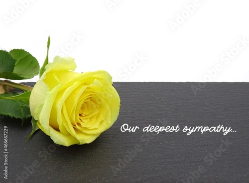 Deepest sympathy card with yellow rose on a slate with text 'Our deepest sympathy'. photo