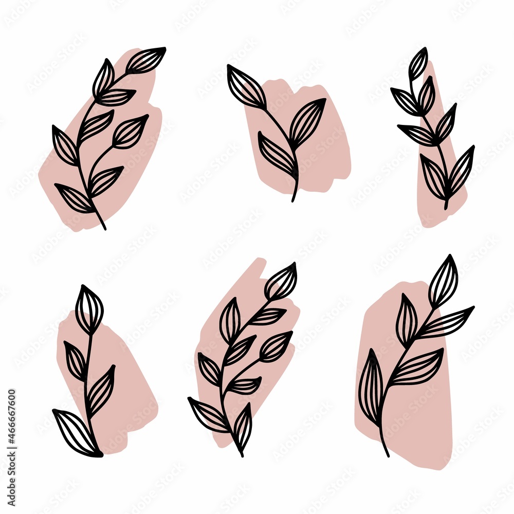 Vector drawing of twigs