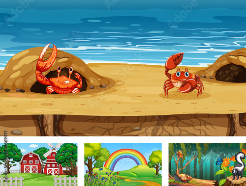 Four different nature horizontal scene