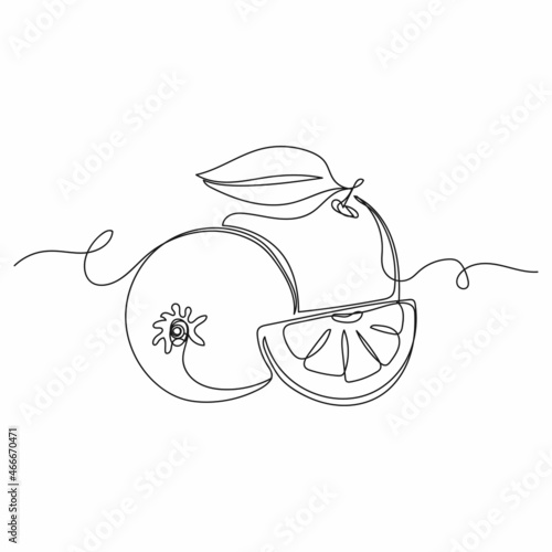 Vector continuous one single line drawing icon of grapefruit or orange fruit fresh organic in silhouette on a white background. Linear stylized.