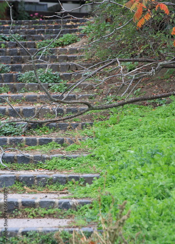 Treppe nach oben, Mannheim, Herbst 2019