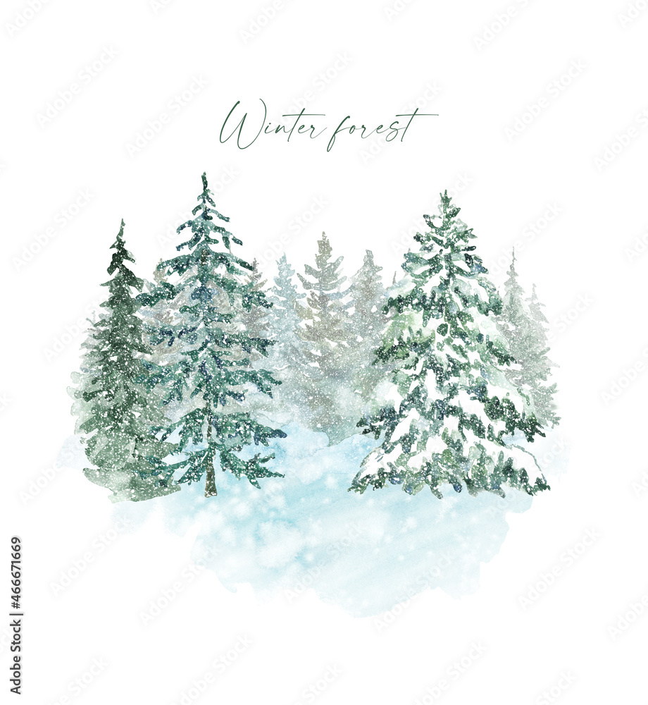 Winter evergreen forest landscape illustration on white background. Watercolor pine and spruce trees with falling snow. Christmas card design. Snowy woods backdrop.