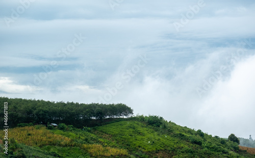 Surreal landscape of morning foggy..Morning clouds at sunrise.Landscape of fog and mountains of northern Thailand.