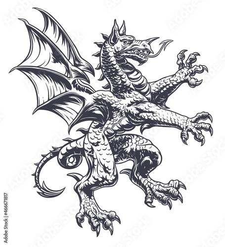 Heraldic dragon digital ink drawing