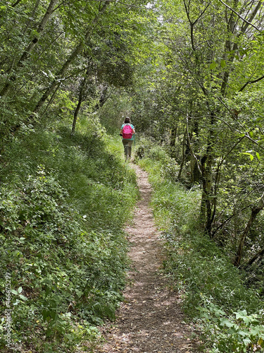 Assisi, la via francigena di Francesco sul monte Subasio