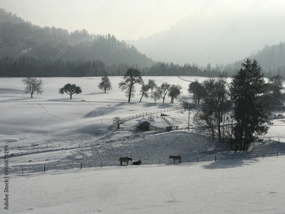 Winter Bavaria Winter Bavaria