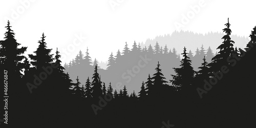ARRIÈRE-PLAN DE FORÊT AVEC SILHOUETTES DE SAPINS