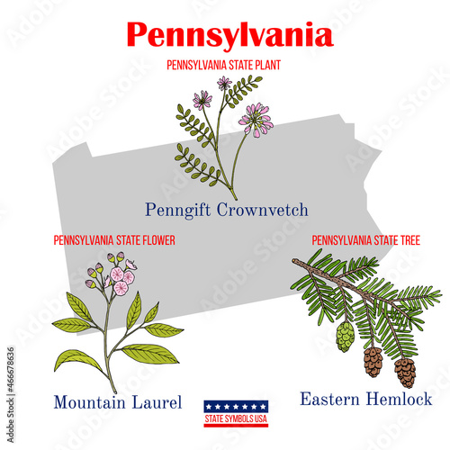 Pennsylvania. Set of USA official state symbols