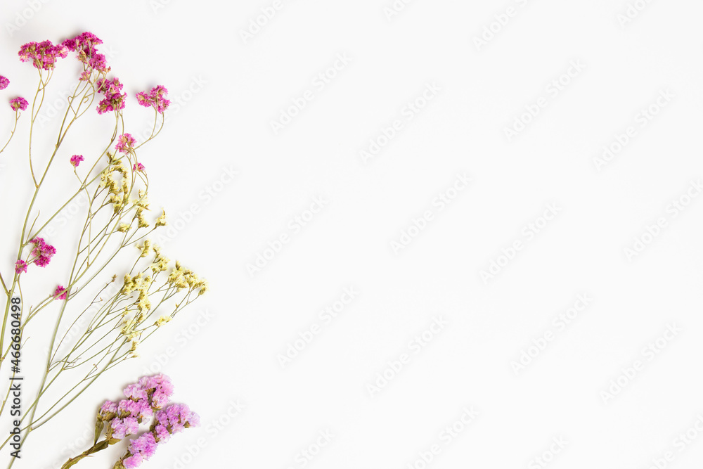 Colorful flowers with copy space for background. 
