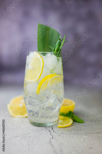 cocktail drink alcoholic lime and rosemary gin tonic