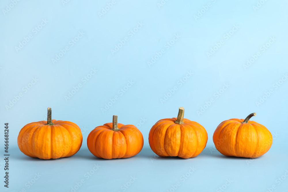 Fresh ripe pumpkins on light blue background, space for text