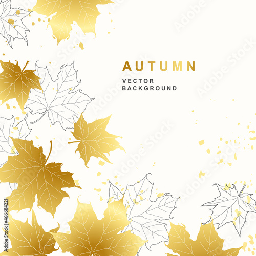 Autumn background with golden maple leaves. Frame from foliage graphics and textures
isolated on white background. Leaf fall. Design template. Vector illustration