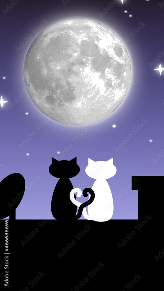 Obraz premium Phone screensaver. A pair of cats on the roof of the house looking at the starry sky
