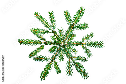 Spruce branches laid out in the form of a snowflake.