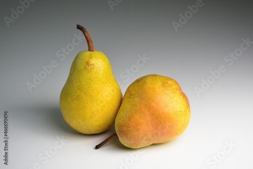 Yellow pears isolated on grey background. Two whole fruits. Pears isolated. 