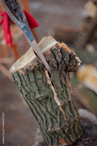 Ax sticks out in log close-up