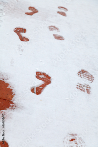 Footprints of bare and shod feet on white snow