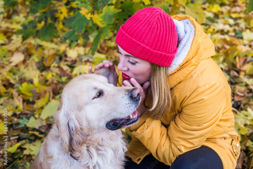 woman in warm clothes whispers something in the ear of a retriever among autumn yellow leaves woman in warm clothes whispers something in the ear of a retriever among autumn yellow leaves