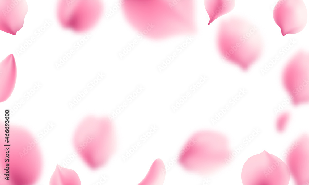Pink sakura falling petals background Pink sakura falling petals background