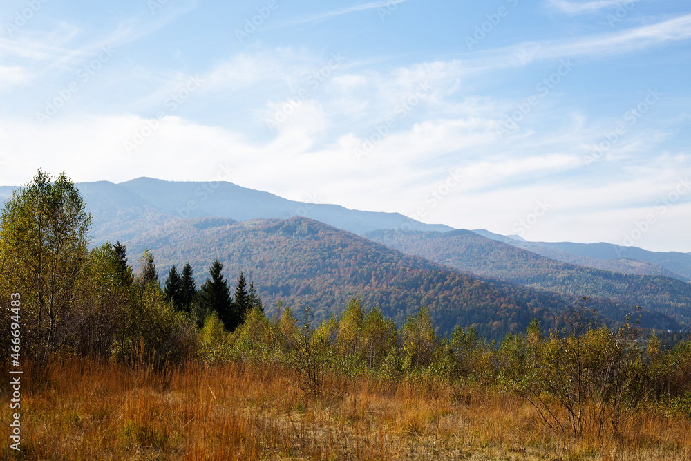 beautiful autumn afternoon in mountains. trees on the edge of a hill in fall colors