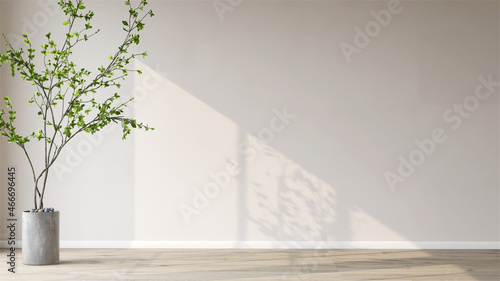 Beautiful house plant in the pot set beside the wall with sun light shine in showing beautiful shadow on white empty wall. Background, mockup, backdrop, Green, houseplant decoration, Asian, Tropical.
