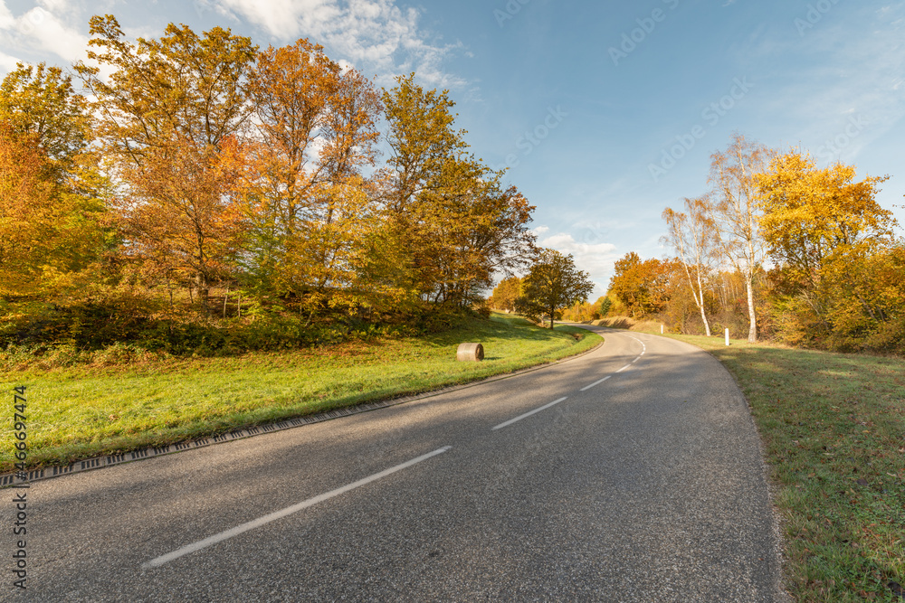Road on a sunny morning in the mountains in autumn.