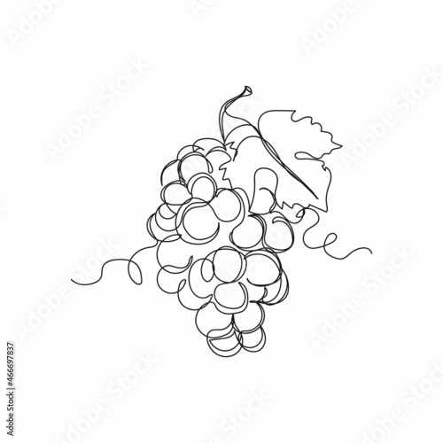 Vector continuous one single line drawing icon of grapes hanging bunch in silhouette on a white background. Linear stylized.