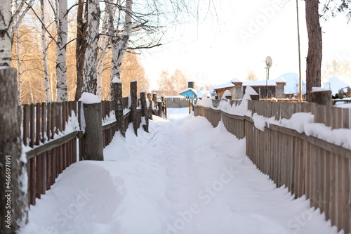 Wallpaper Mural Winter in Russland. Viel Schnee. Torontodigital.ca