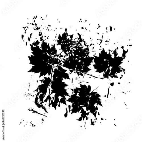 Hand made ink stamp leaves. Object isolated. Black leaf blots and splashes