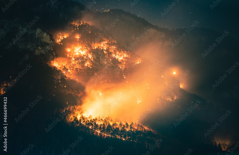 Waldbrand Waldbrand