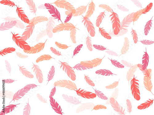 Detailed majestic feather on white design.