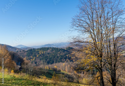 Drzewa przestrzeń © Pawe