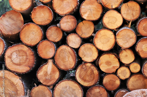 Piles of wood. Concept of lumber, forestry, energy, wooden processing.