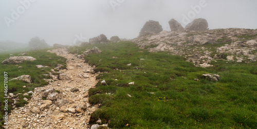 Hiking trail with grass and big stones around in Val Lasties valley in Dolomites mountains in Italy photo