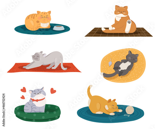 Funny cartoon cats  in different colors and poses on the mats.  Flat vector illustration
