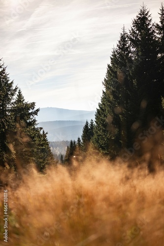 Izery Mountains - Calm autumn view - Gory Izerskie - Izersky - Swieradow Zdroj