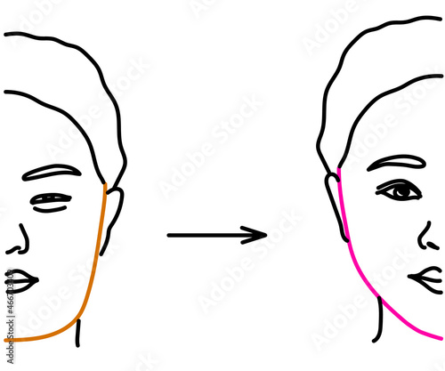 Woman face on isolated background. Plastic surgery. Vector illustration.