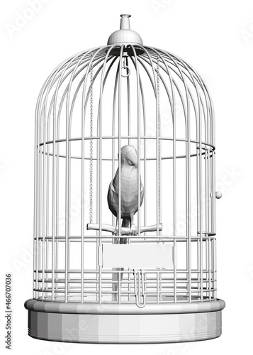 Polygonal parrot in a cage isolated on a white background. Front view. 3D. Vector illustration