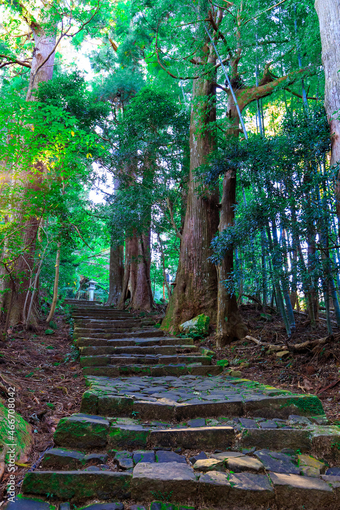 熊野古道・大門坂