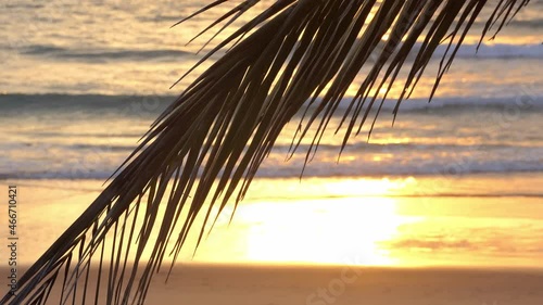 coconut leaf in the evening golden sea wave background