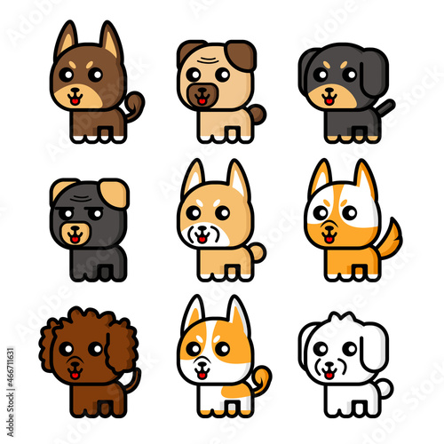 New Types Of Cute Kitten