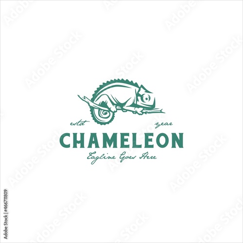 Chameleon Logo Design Vector Image