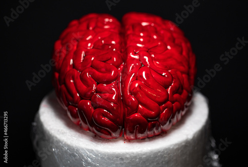 Close up of Human brain Anatomical Model, cake art concept image, brain from sugar paste. Sugar art photo