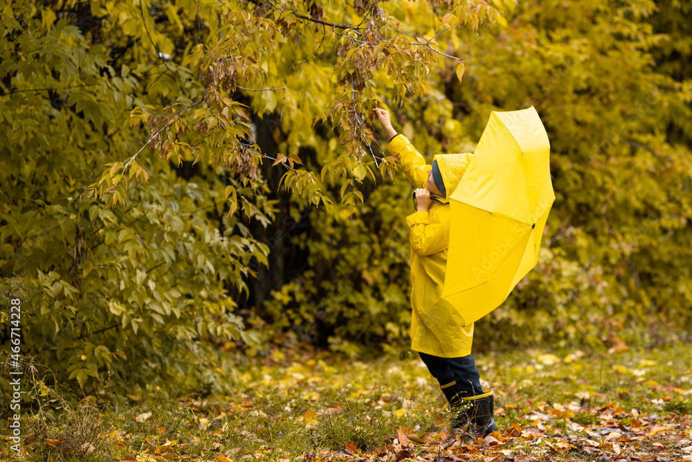 Boy in yellow waterproof cloak and umbrella walk in park or forest in the rain in autumn. Outdoor activity