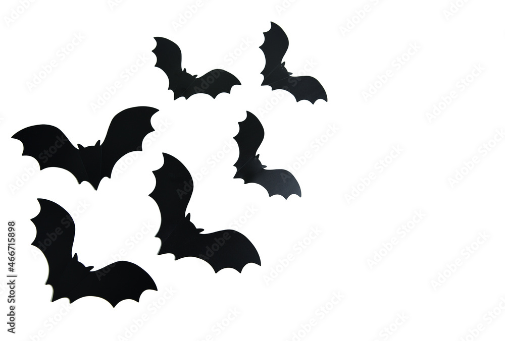 Black bats on a white background Black bats on a white background