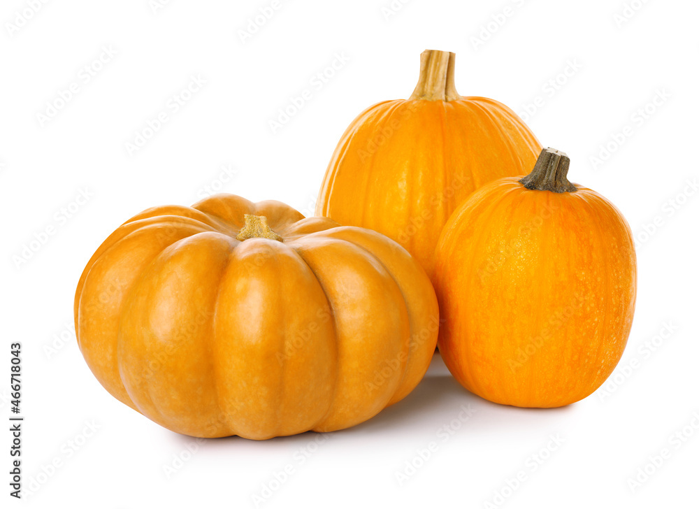 Obraz premium Fresh ripe orange pumpkins on white background
