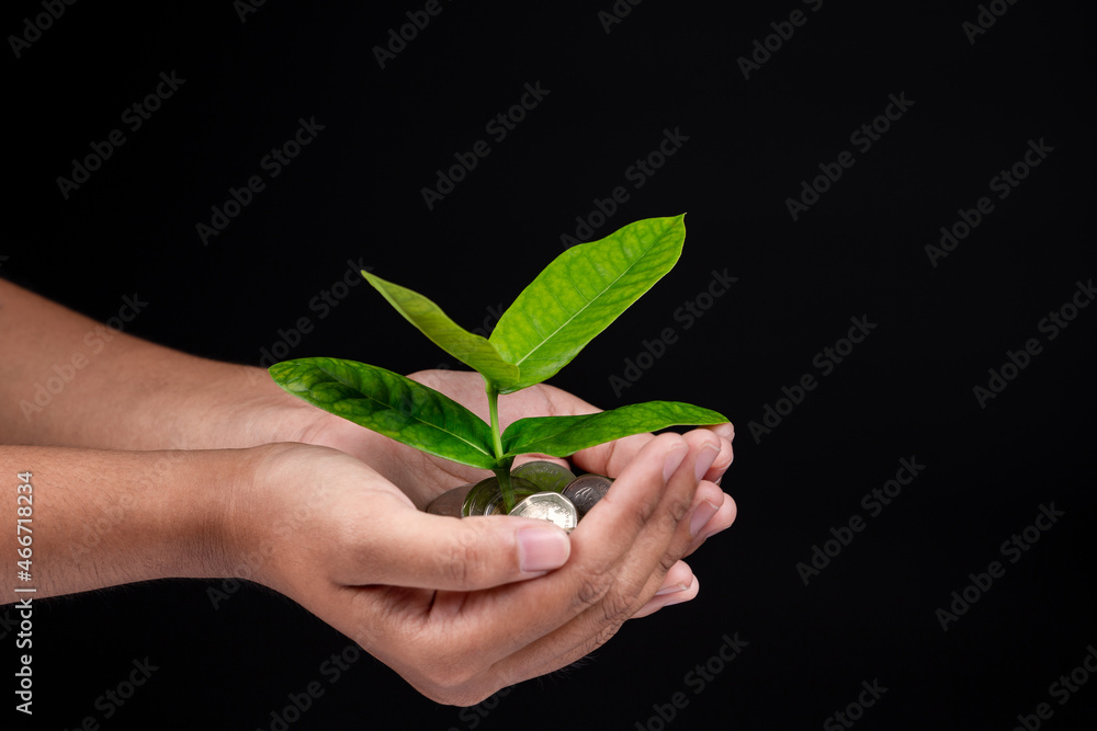 Investment concept, female hand holding stack of coins with small plant growing isolated on black background. Investment concept, female hand holding stack of coins with small plant growing isolated on black background.
