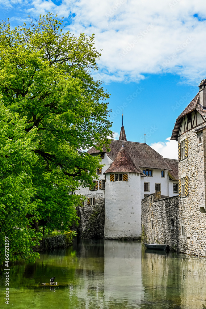 Seengen, Schloss Hallwyl, Wasserschloss, Burg, Hallwilersee, See, Spazierweg, Insel, Aabach, Aargau, Frühling, Sommer, Schweiz